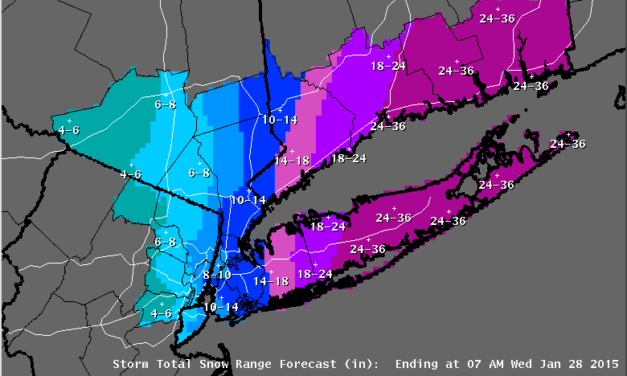 The 2015 Blizzard Bust