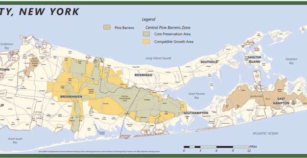 Pine Barrens Nearly Saved, But That Doesn’t Mean It’s Out of the Woods