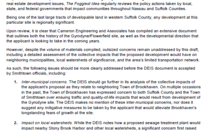 Public Comments: Gyrodyne/Flowerfield DEIS, January 2020